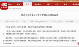 湖北最新爆料消息,揭秘神秘事件背后的真相